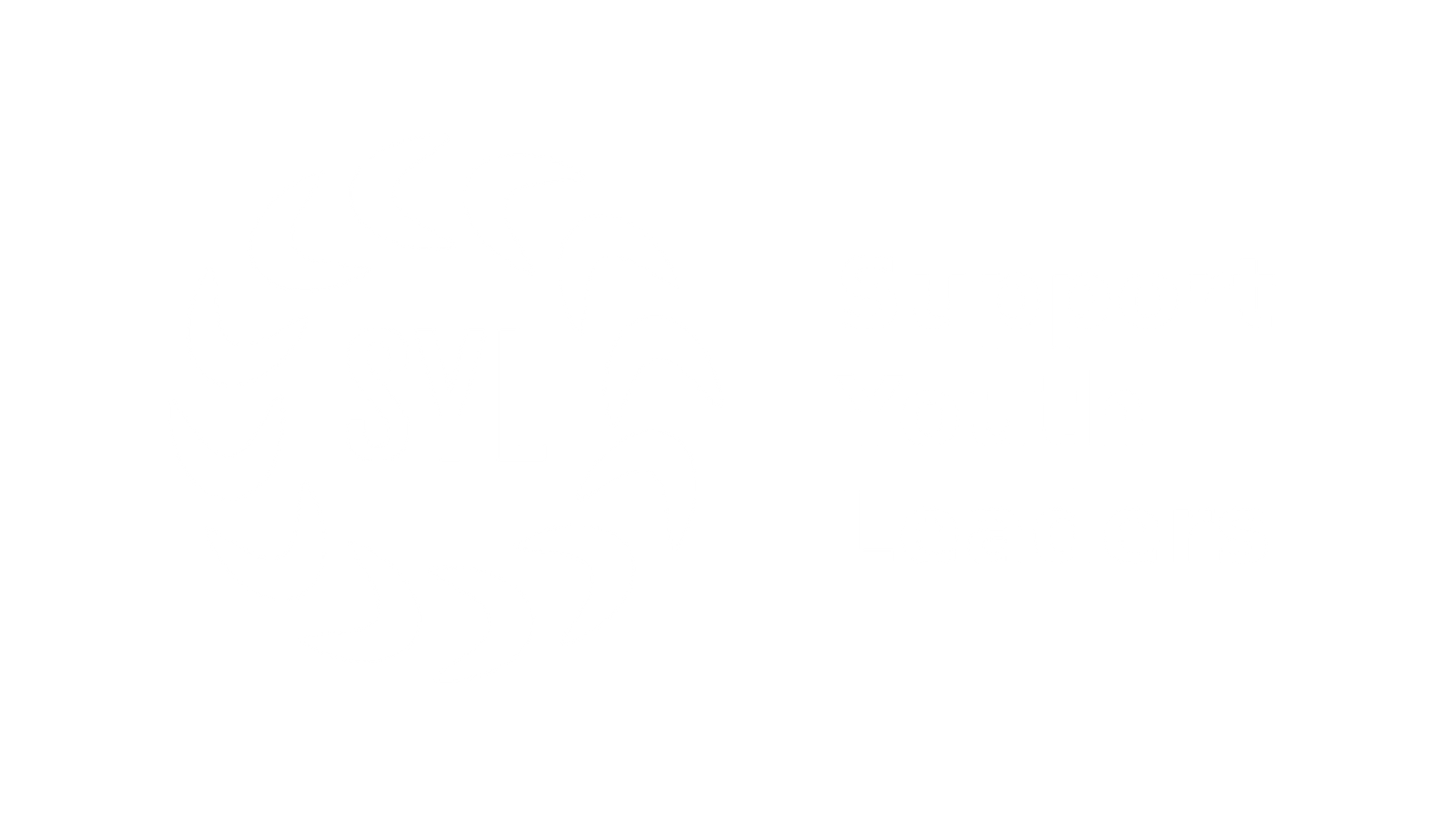 s1.supportyouthleaders.com
